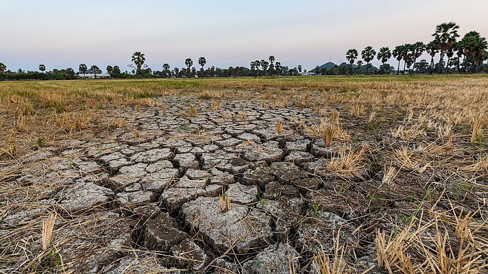 La sequía y el calor empeoran la situación del campo