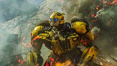 Cine - Bumblebee