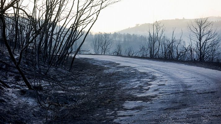 Perimetrado el incendio de Verín  