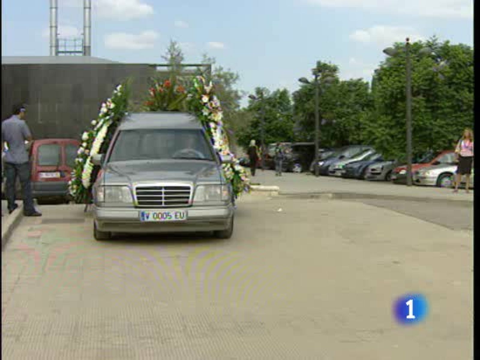 Descenso de casi un 28% respecto a 2008 en las muertes por violencia de género | Ver