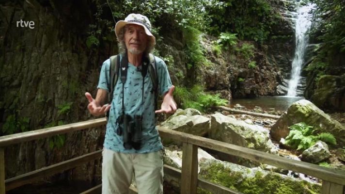 Aquí la Tierra - La aventura de mirar: Cabañeros y su naturaleza