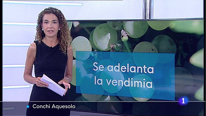 Informativo Telerioja - 04/08/22