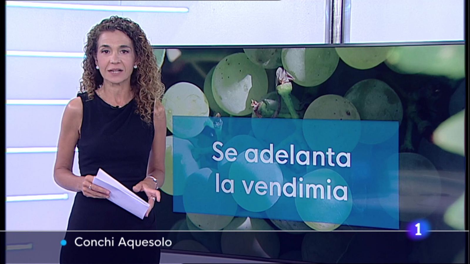 Telerioja en 2' - 04/08/22 - RTVE.es