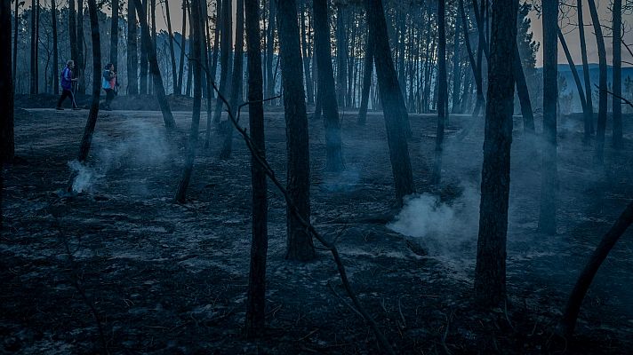 Telediario 1 - Analizar y "vendar" el terreno: así trabaja un equipo que lucha contra la erosión que dejan los incendios en Galicia