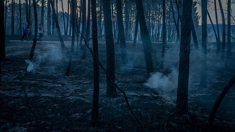 Analizar y "vendar" el terreno: así trabaja un equipo que lucha contra la erosión que dejan los incendios en Galicia