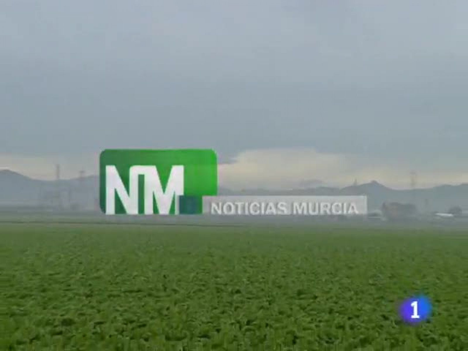 Noticias Murcia: Noticias Murcia - 12/01/10  | RTVE Play