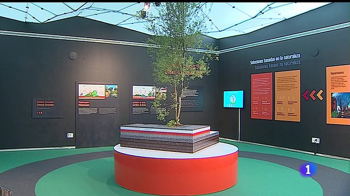 Panorama Regional - Panorama Regional - 05/08/22