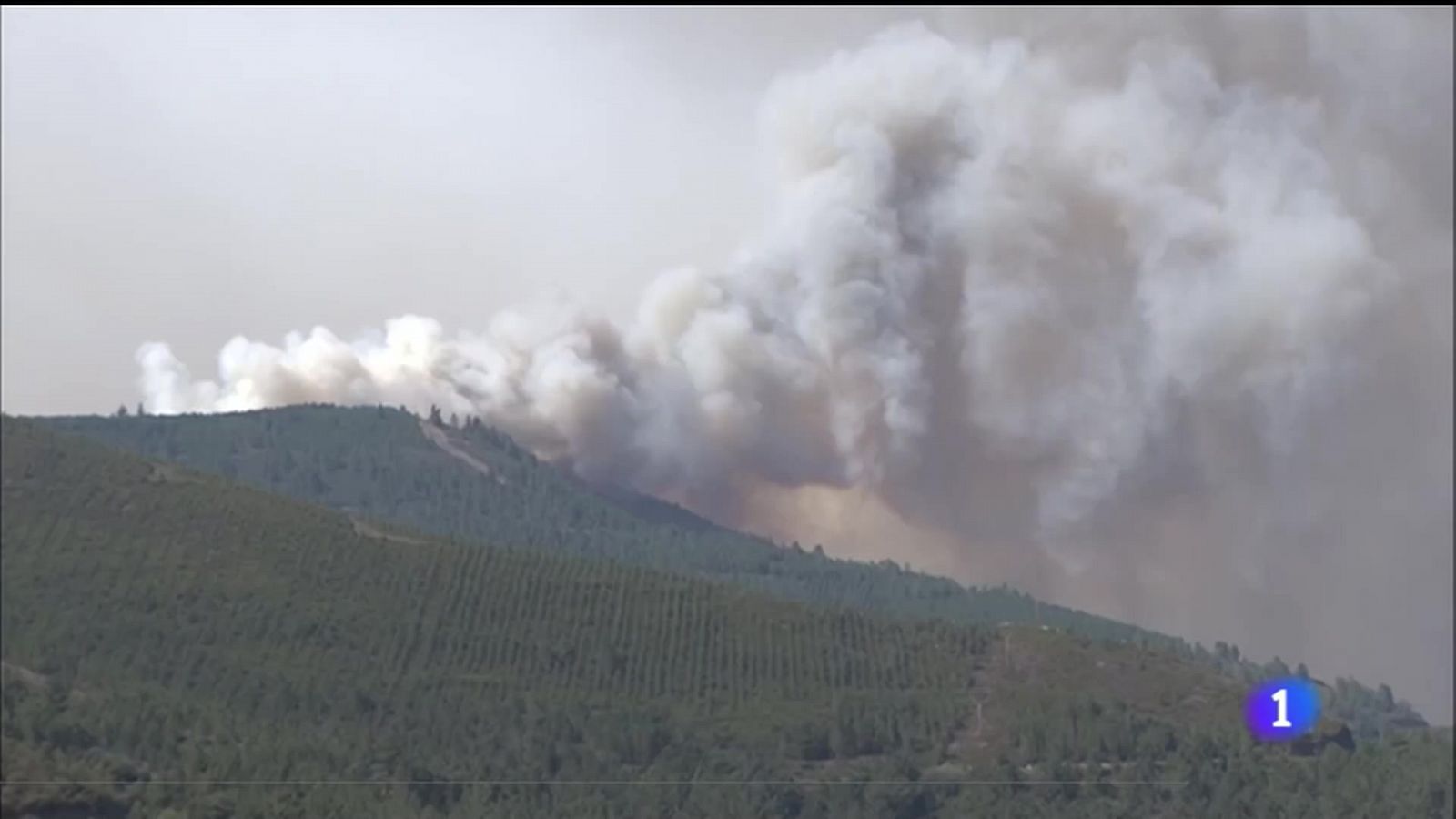 O risco de erosión do solo tralos incendios do Courel e Valdeorras é moderado