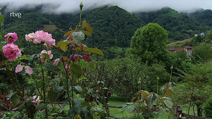 Tormentas y chubascos intensos en el cuadrante noreste peninsular. Temperaturas elevadas en amplias zonas del país. Viento intenso en el noroeste de Galicia