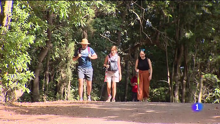 Telecanarias - Telecanarias - 06/08/2022