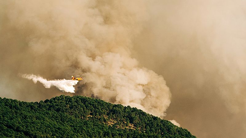 La respuesta penal a los incendios forestales intencionados o por imprudencias