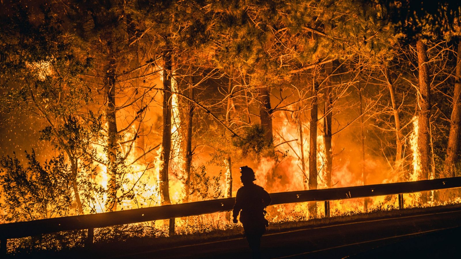 La oleada de incendios arrasan más de 30.000 hectáreas en Galicia