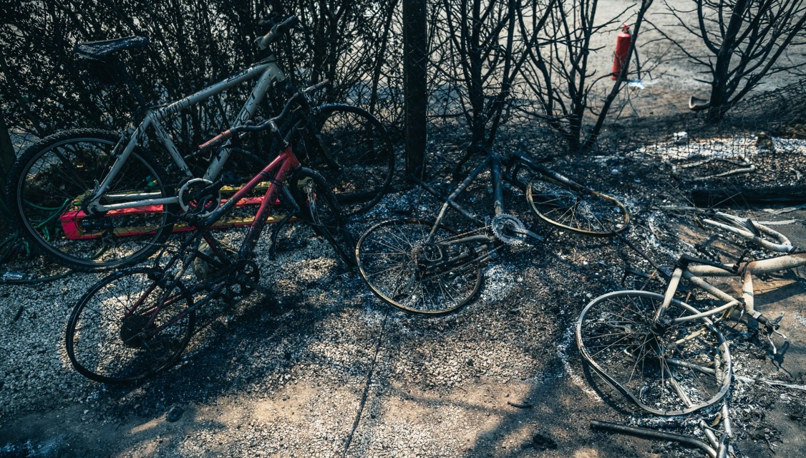 El fuego avanza en Ávila y arrasa más de 2.200 hectáreas en A Coruña