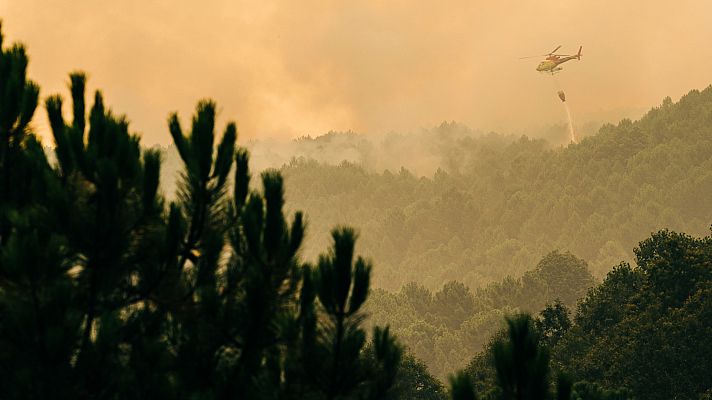 Telediario Internacional - Telediario Internacional - 07/08/22