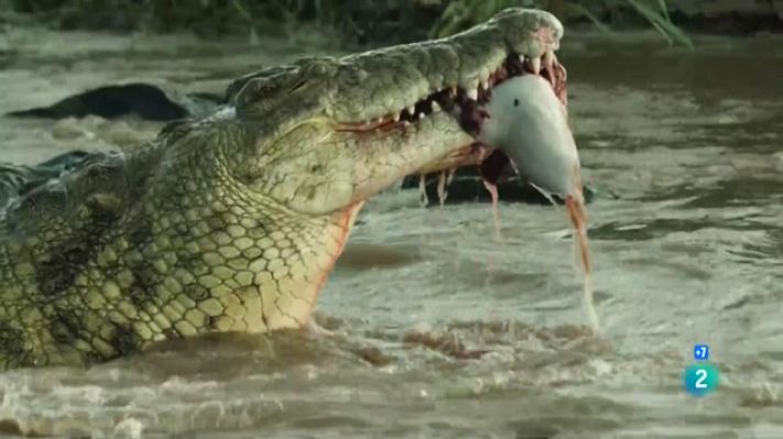 Som Documentals - Caçadors