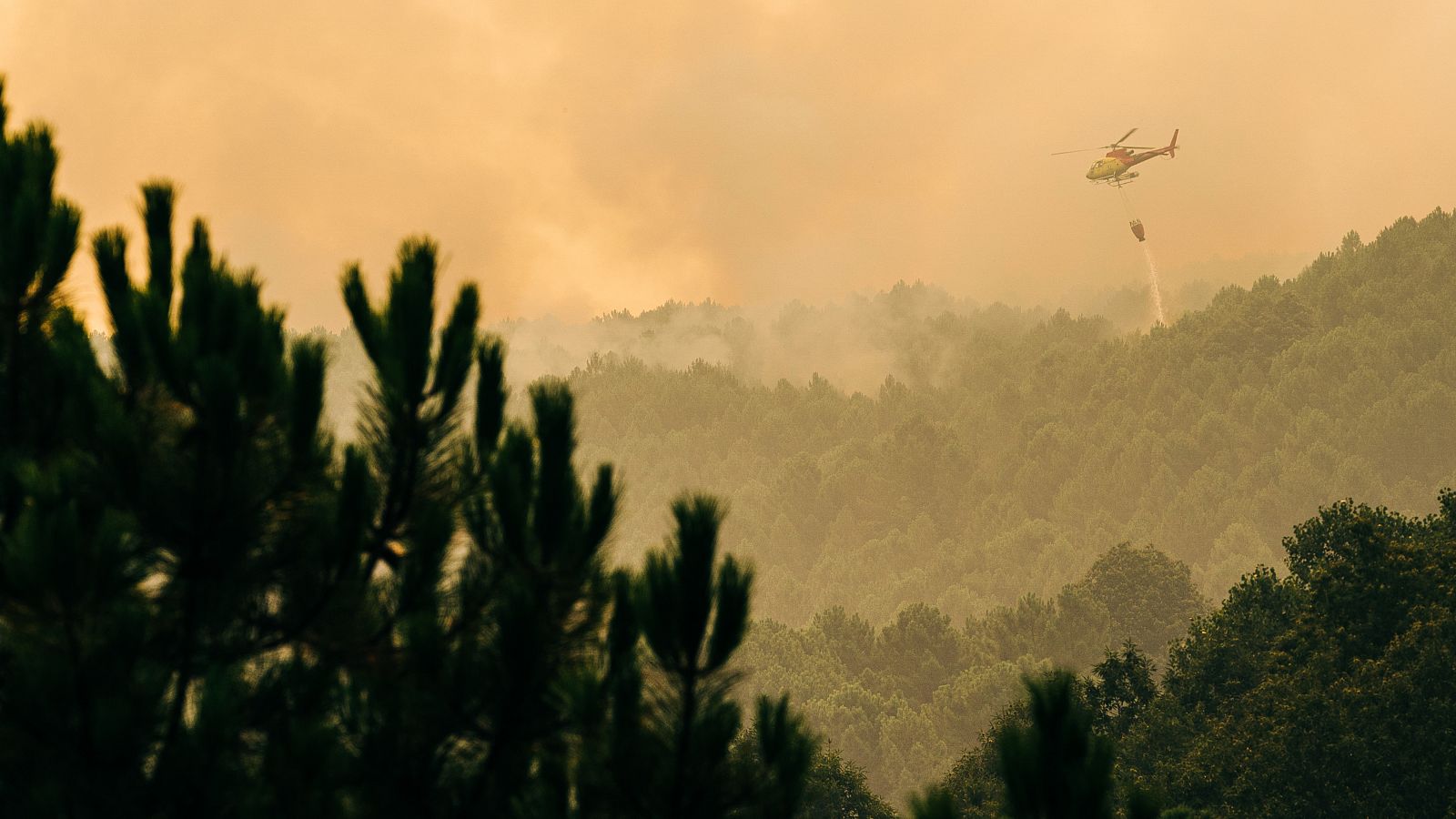 Telediario 2 en cuatro minutos - 08/08/22 - Ver ahora