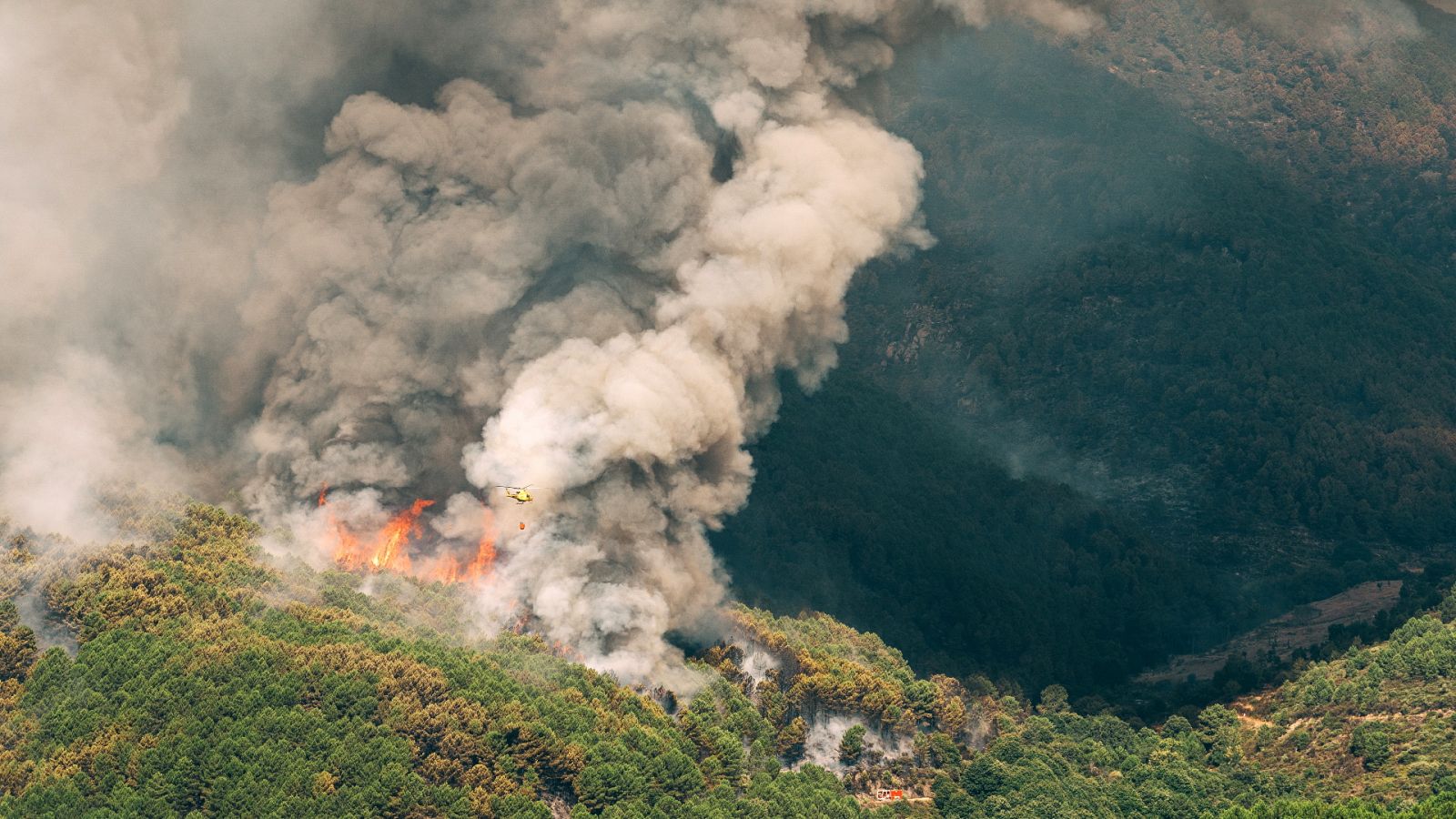 Telediario - 21 horas - 08/08/22 - Lengua de signos - ver ahora