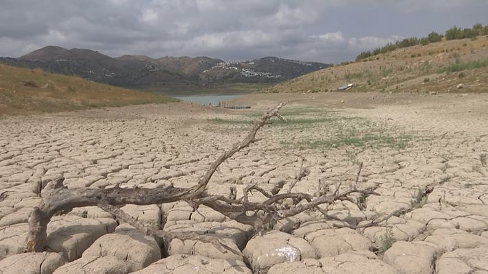 Noticias Andalucía - Situación crítica de nuestros embalses