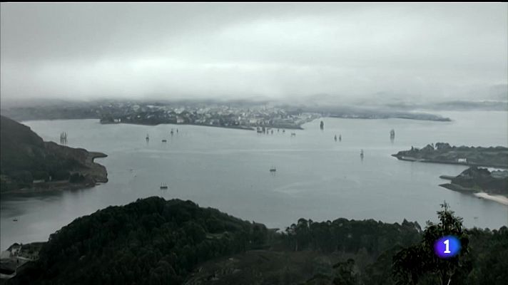 Telexornal - Galicia - Isabel Zendal, protagonista da primeira campaña de vacinación mundial da historia