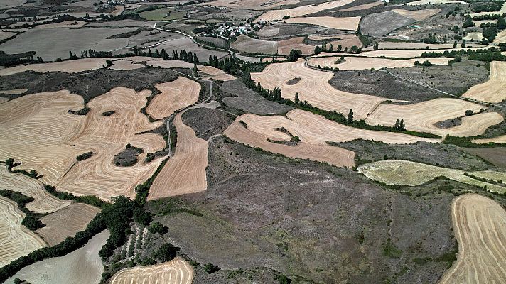 Telediario 1 - Sequía: Las reservas de agua caen por debajo del 40 %