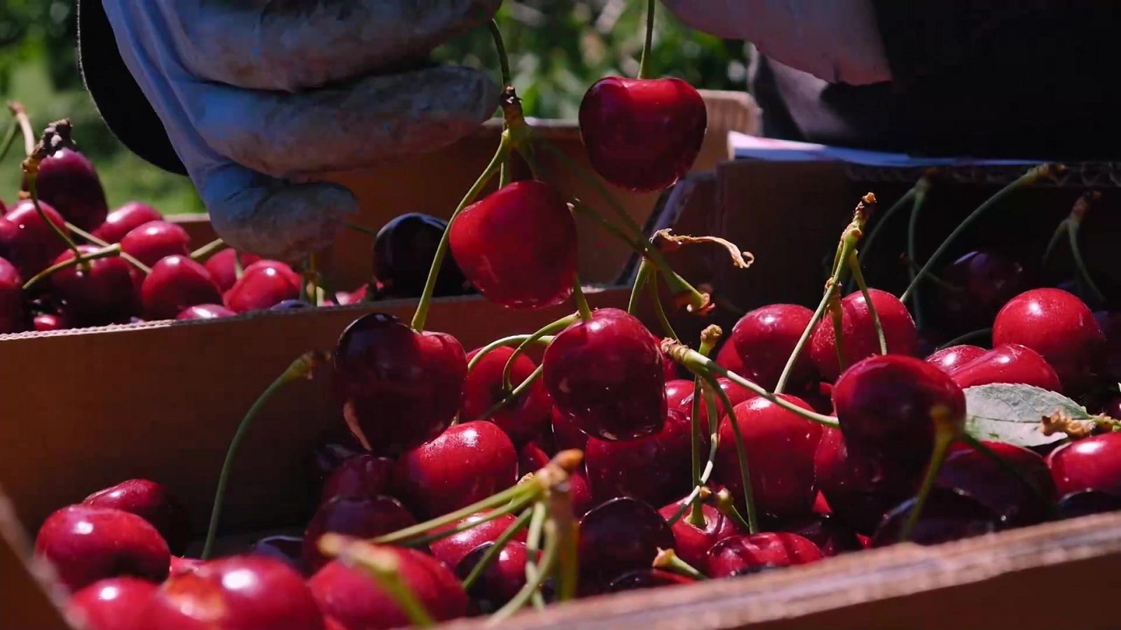 Aquí la Tierra - 09/08/22 - ver ahora