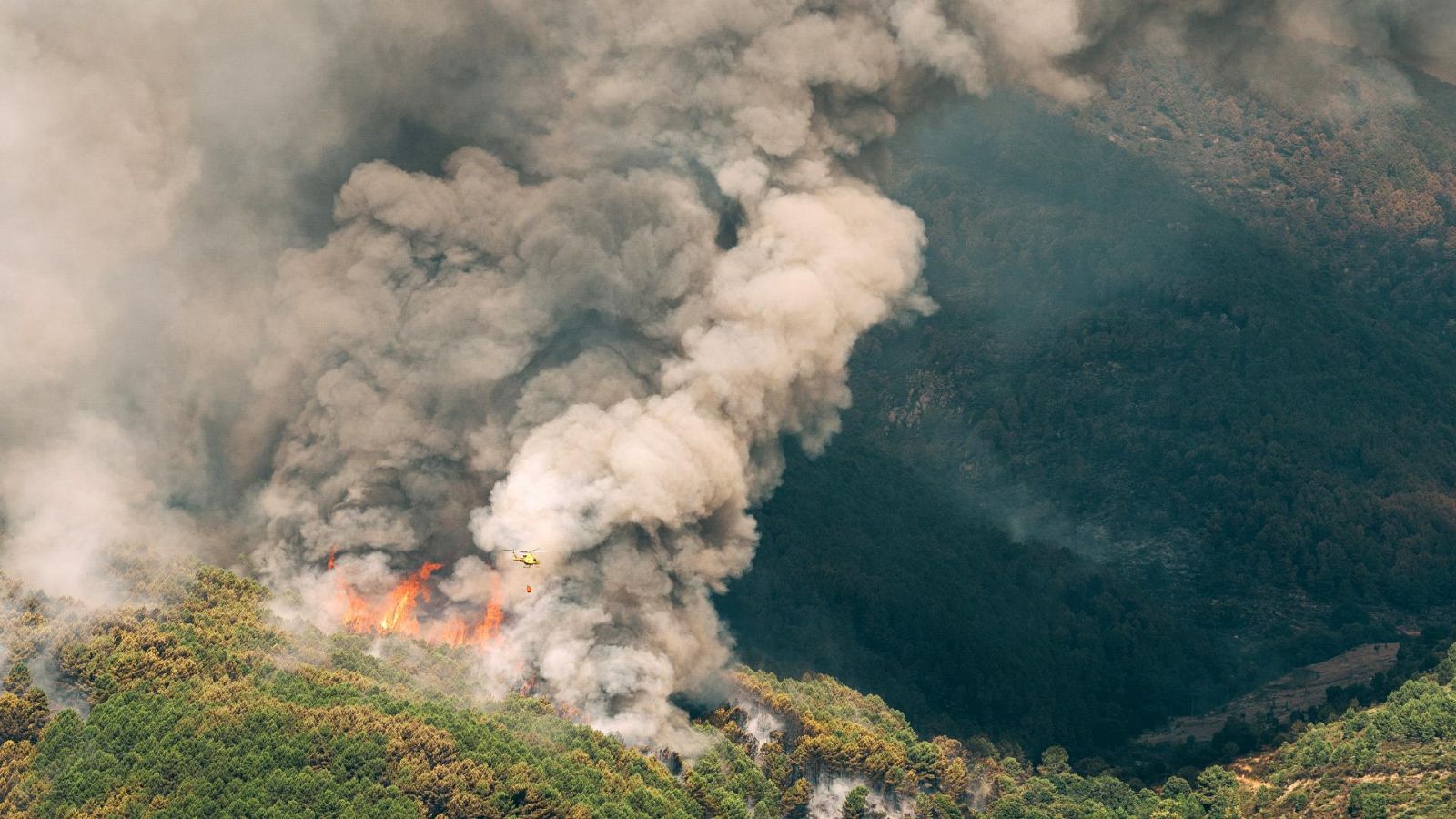 El incendio de Ávila se mantiene estable