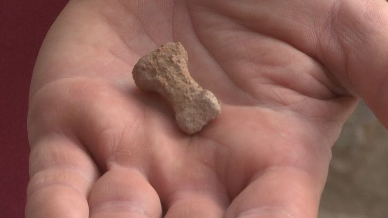 Hallan una falange de un homínido que vivió en Torre Pacheco hace entre 100.000 y 130.000 años
