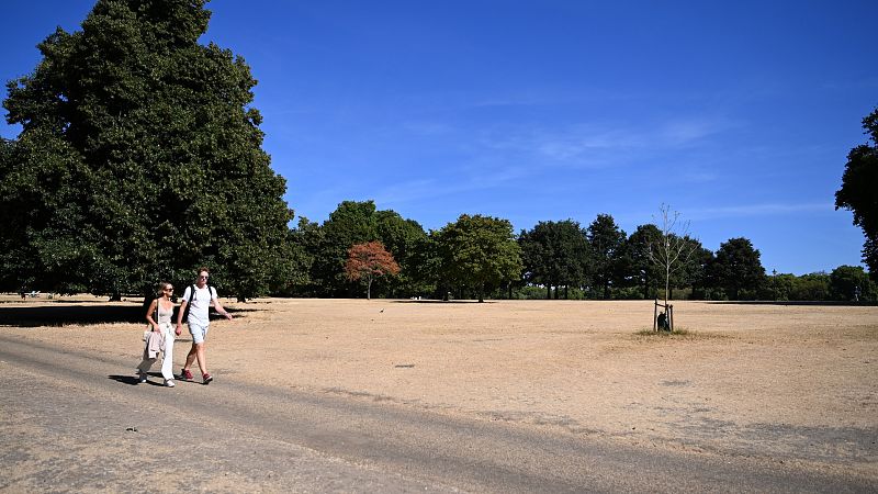 La sequía que vive Reino Unido deja parques y campos teñidos de amarillo