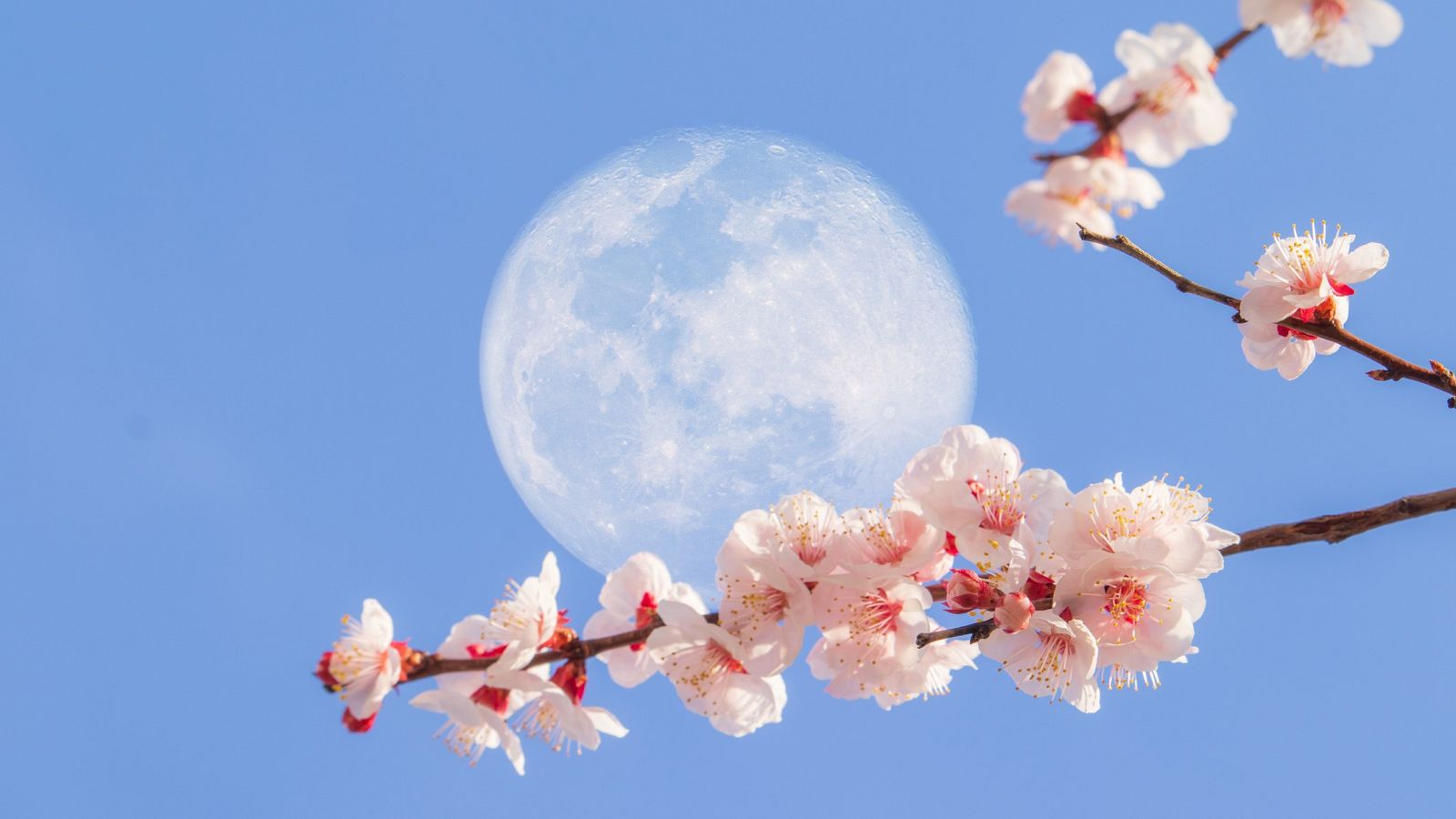 Mapi: ¿Por qué a veces se ve la Luna de día?