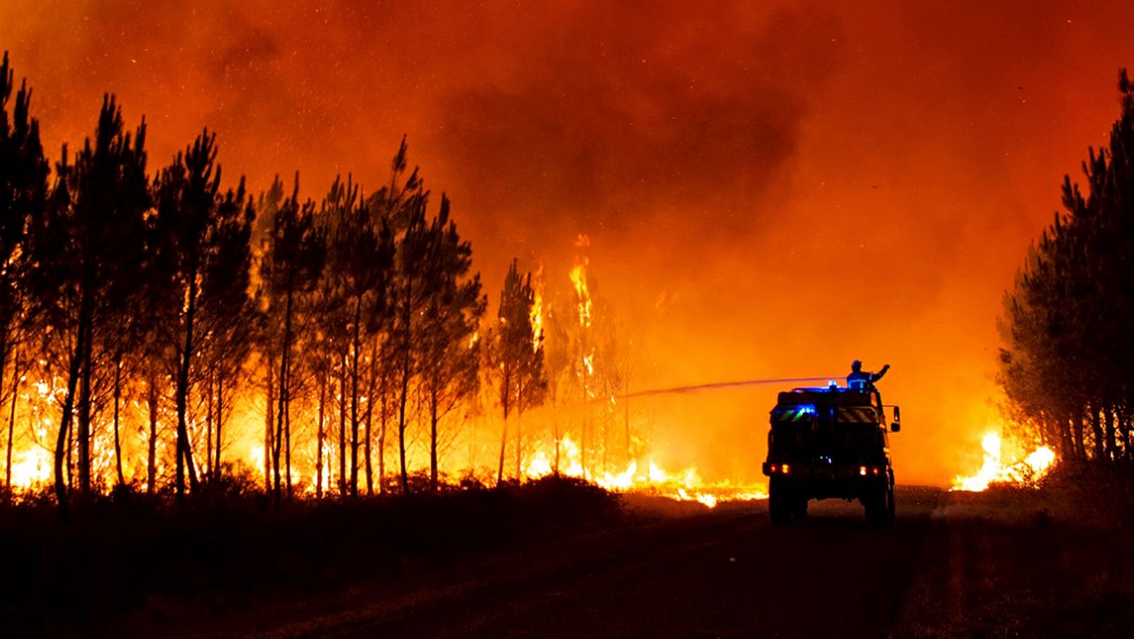 Telediario 1 en cuatro minutos - 11/08/22 - Ver ahora