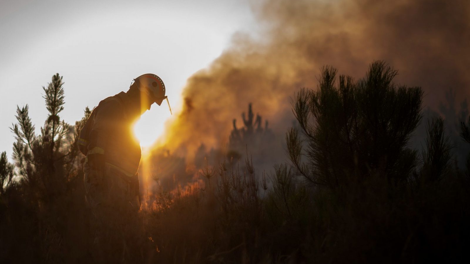 Los incendios abrasam miles de hectáreas en Ourense, Cáceres y León