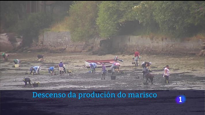 Preocupación no marisqueo polo descenso da produtividade das rías