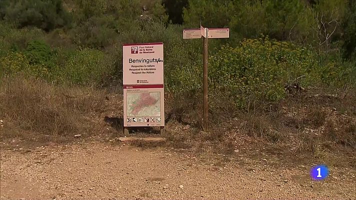 L'Informatiu - L'Informatiu - 12/08/2022