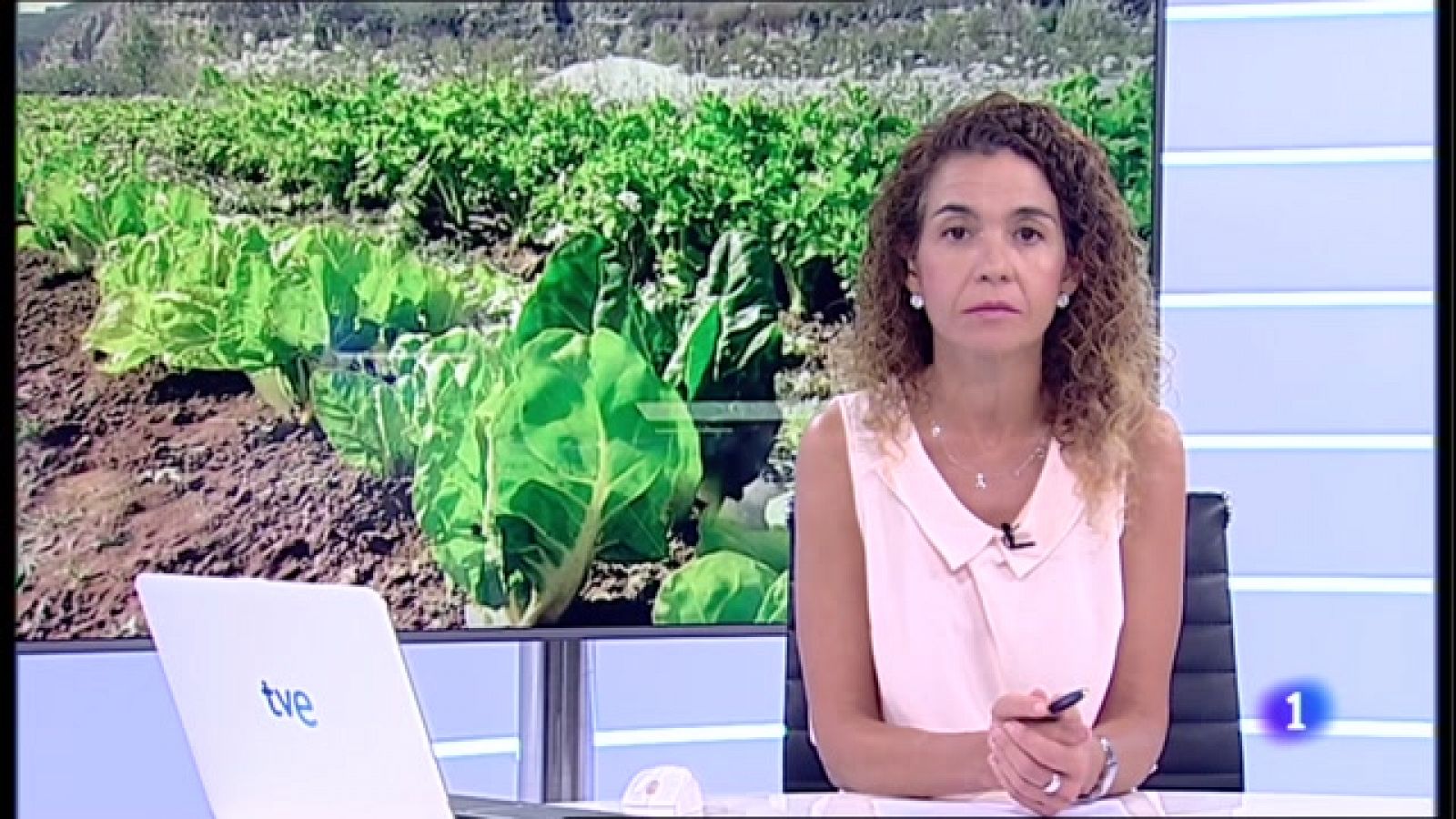 Informativo Telerioja - 12/08/22 - RTVE.es