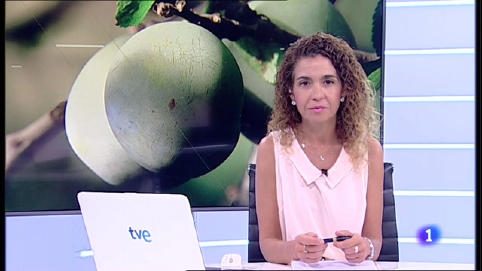 Informativo Telerioja 2 - 12/08/22 - RTVE.es