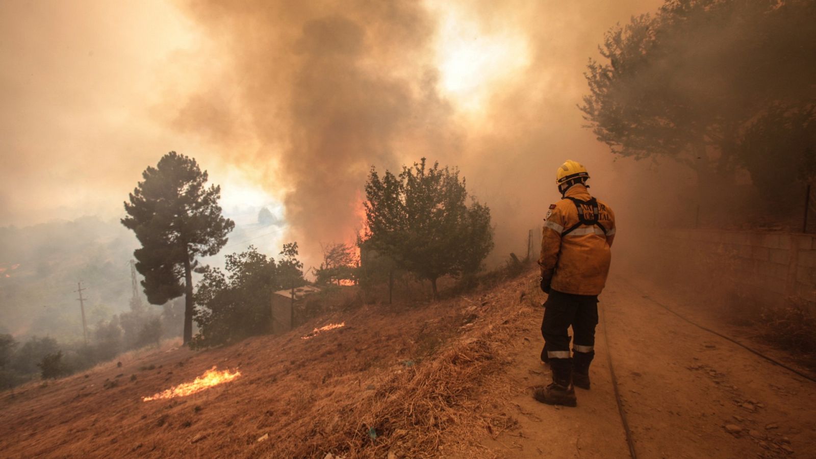 Incendio devastador en Portugal- RTVE.es