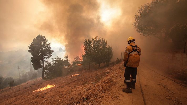 Incendio devastador en Portugal: más de 16.000 hectáreas calcinadas, muchas protegidas