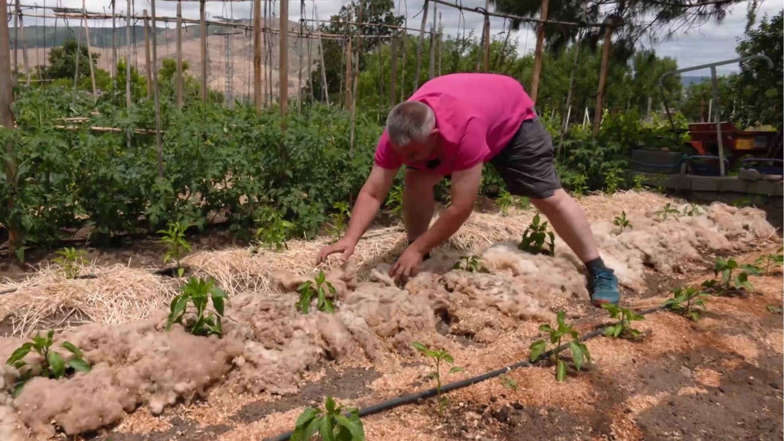 Aquí la Tierra - 12/08/22 - ver ahora