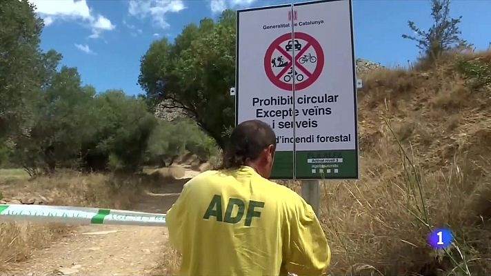 L'Informatiu - Els Agents Rurals cacen desenes de despistats i incomplidors