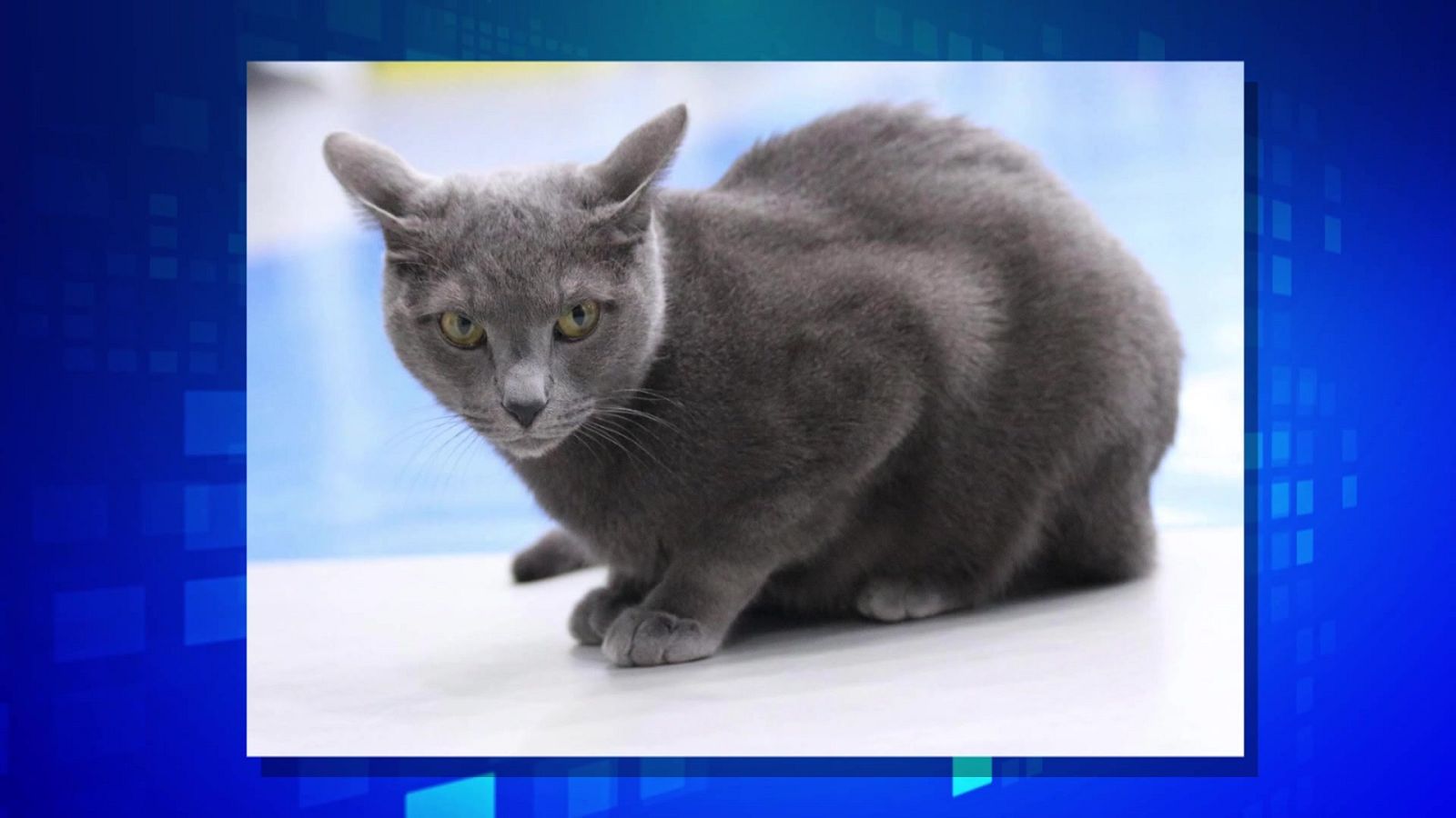 Saber y ganar. Edición de fin de semana - 14/08/22 - ver ahora