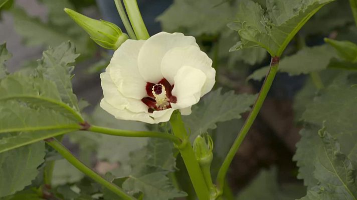 Aquí la Tierra - Aquí la Tierra - 14/08/22