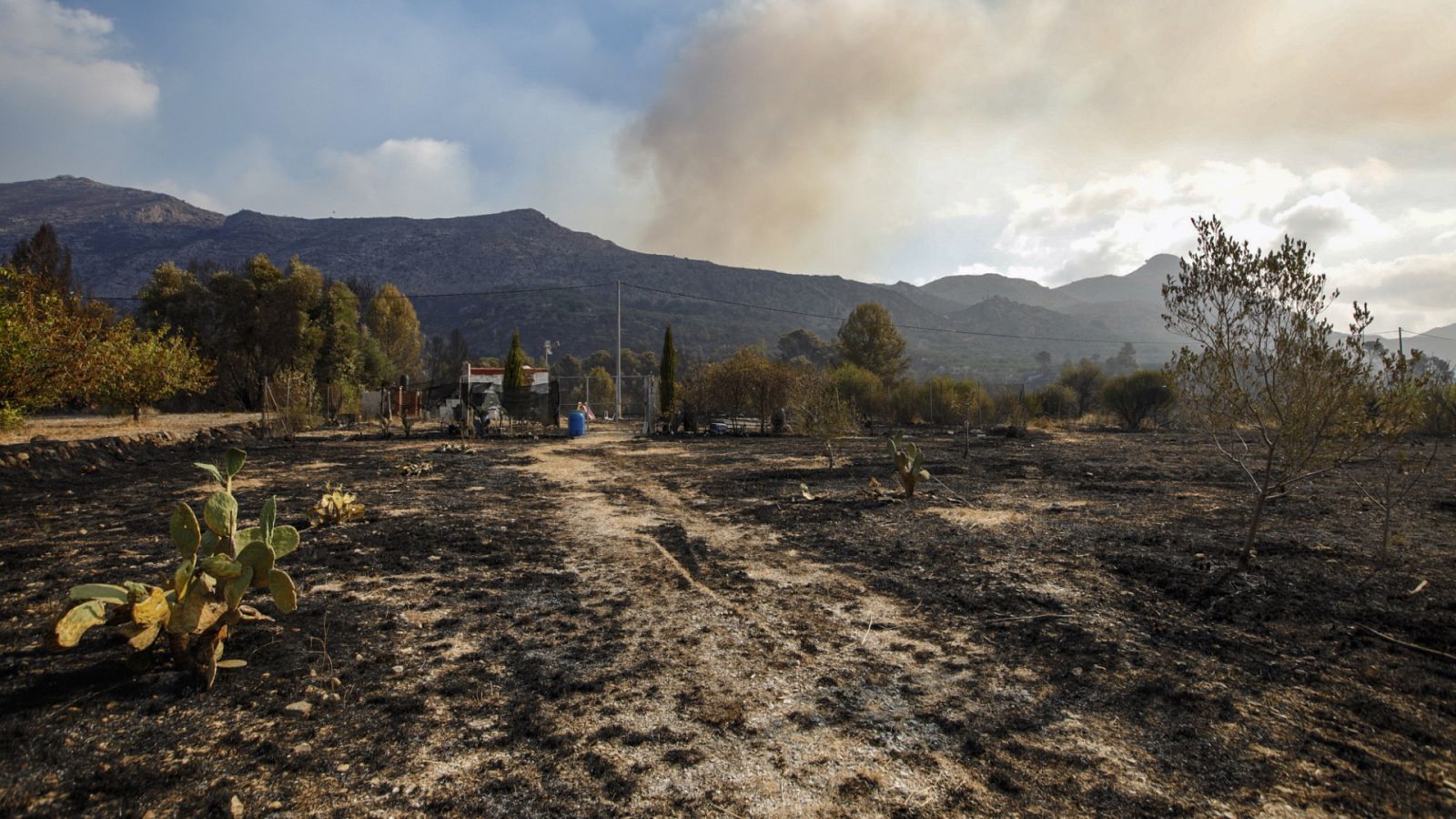 Noticias 24 horas - 20h - 15/08/22 - ver ahora