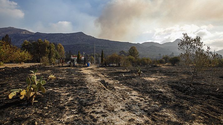 Informativo 24h - Noticias 24 horas - 20h - 15/08/22