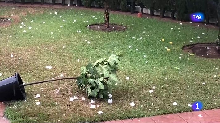 L'Informatiu - L'Informatiu - 16/08/2022