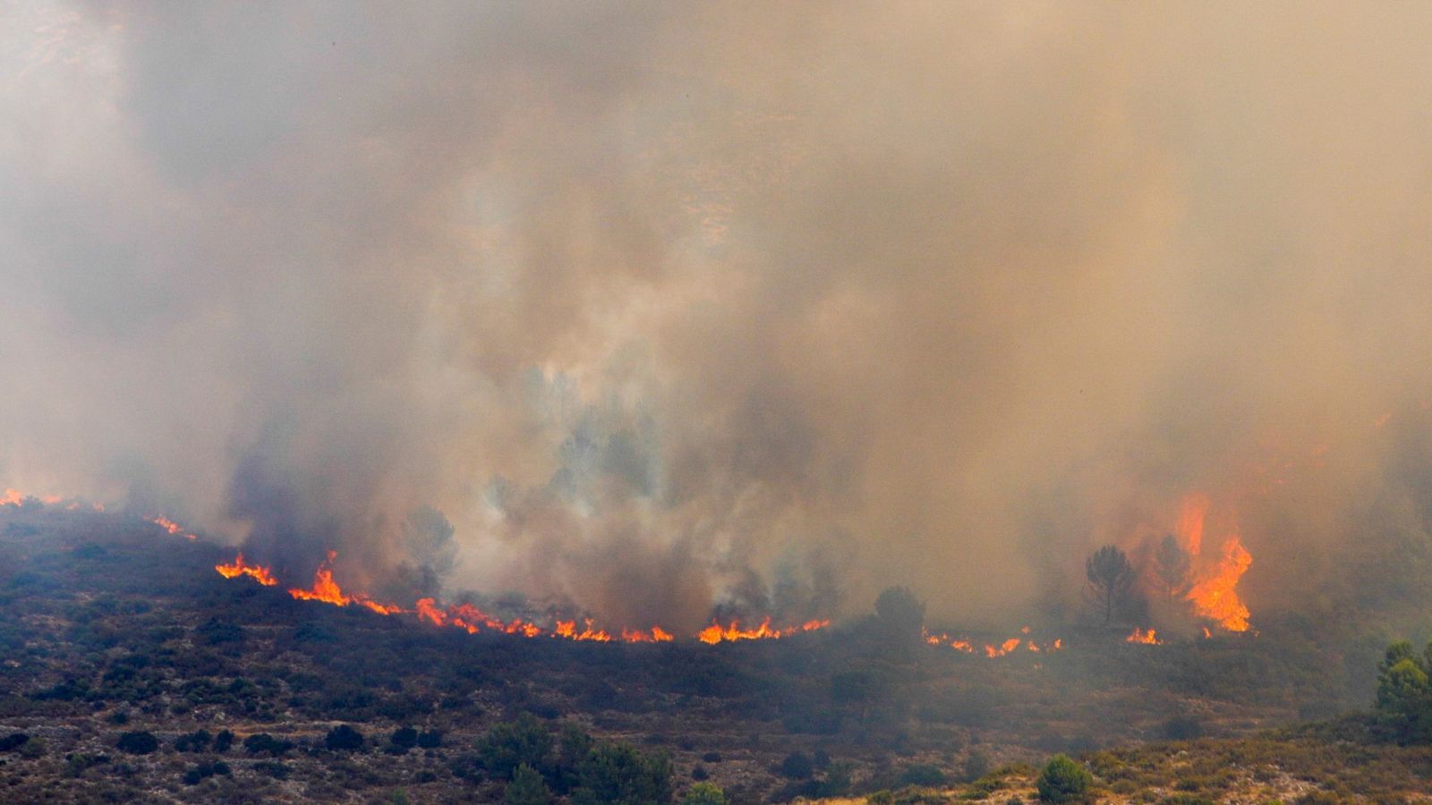 Telediario - 15 horas - 16/08/22 - ver ahora