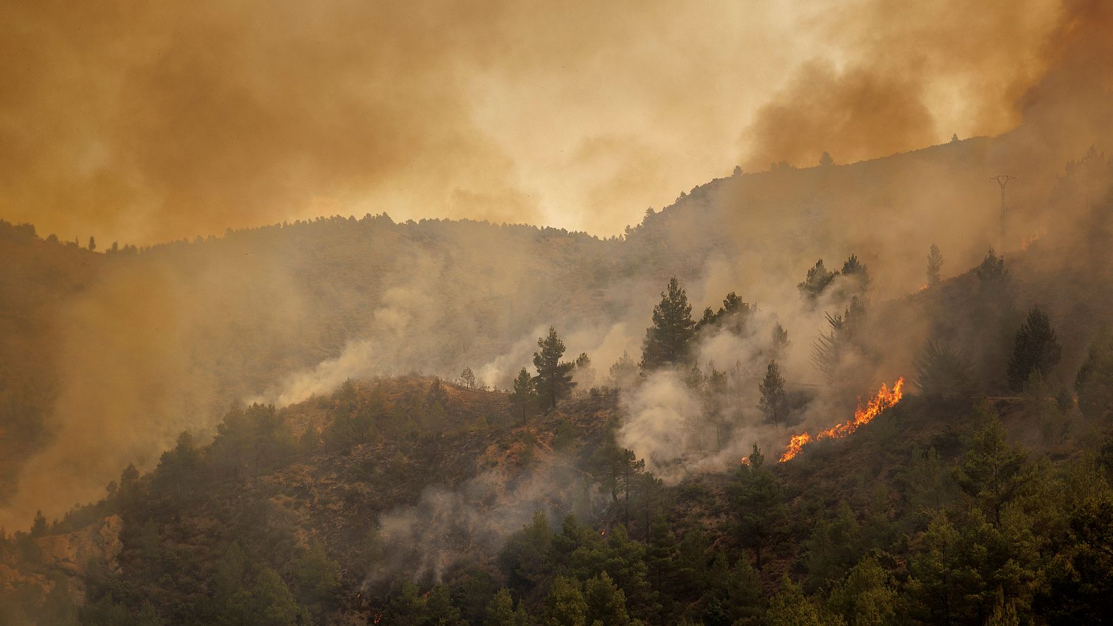 Telediario 2 en cuatro minutos - 16/08/22 - Ver ahora 