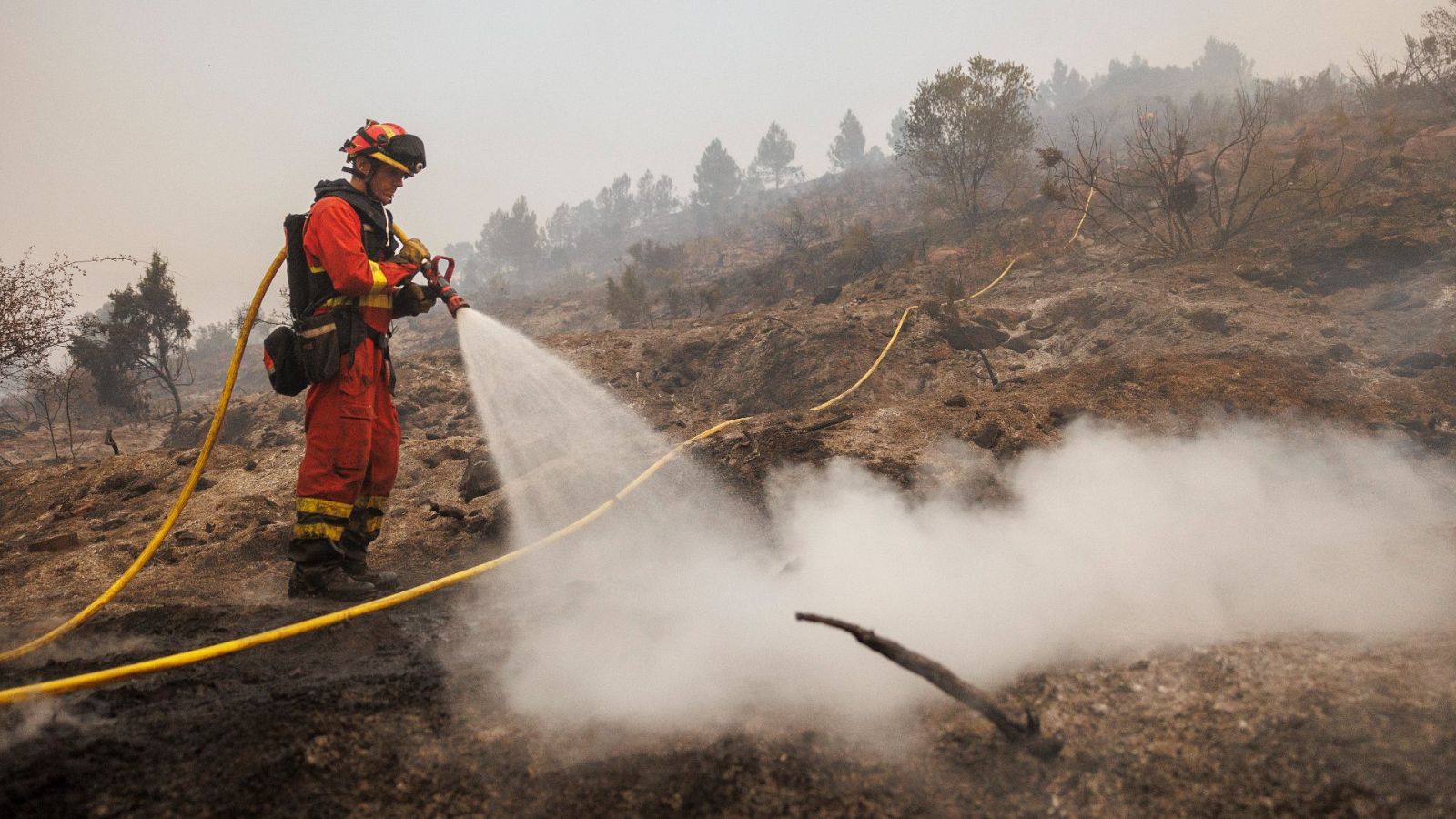 Los incendios forestales se ceban en la Comunidad Valenciana