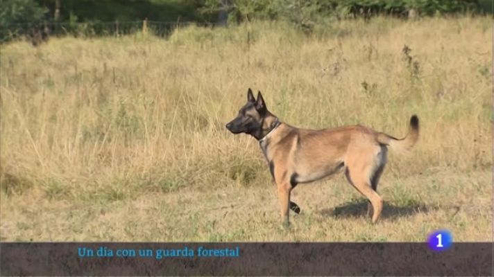 Informativo Telerioja - 17/08/22