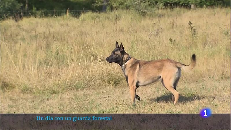 Telerioja en 2' - 17/08/22 - Ver ahora