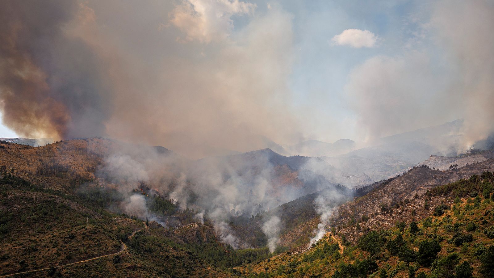 Telediario 1 en cuatro minutos - 17/08/22 - Ver ahora